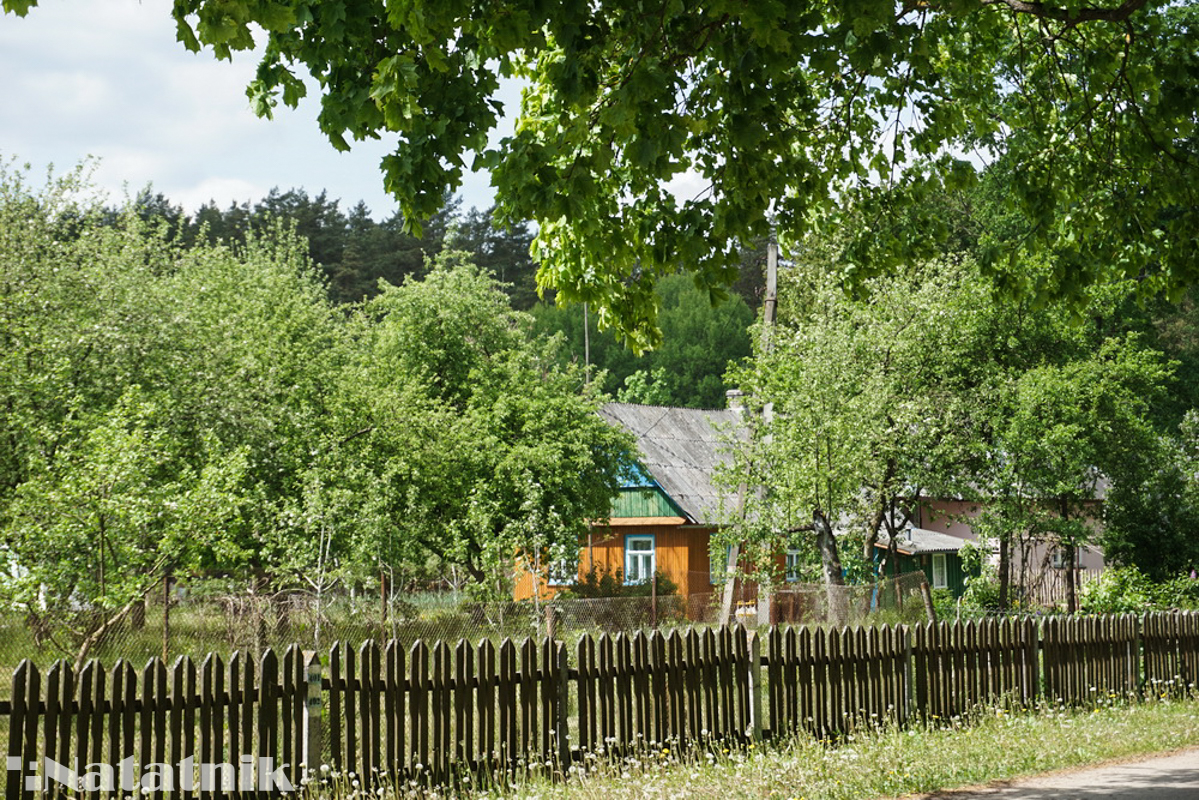 Домик в деревне, деревенский дом