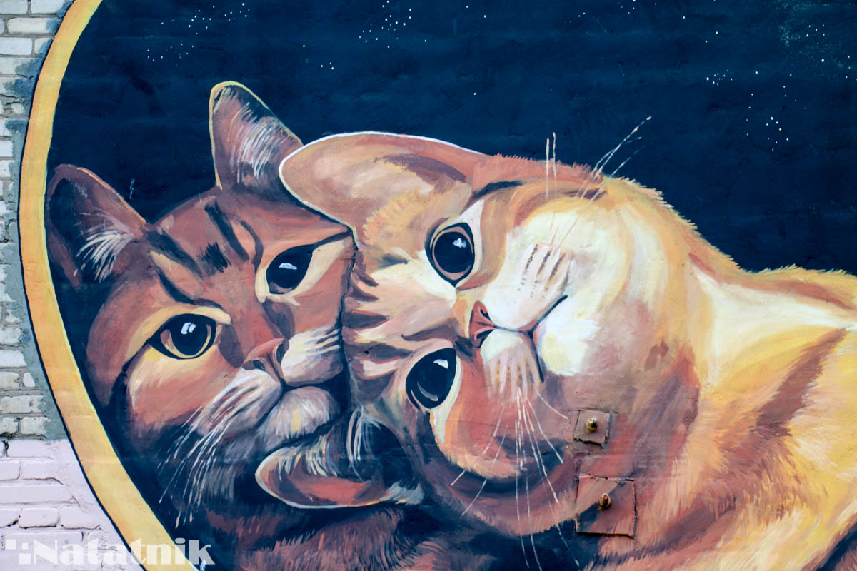стрит-арт в Бресте, рисунок, стена, котельное хозяйство, коты, Лёня Василькович