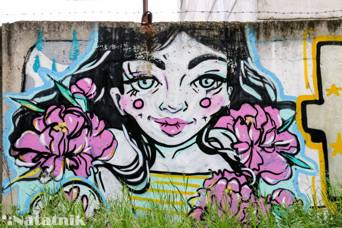 стрит-арт в Бресте, рисунок, стена, забор, девушка, цветы