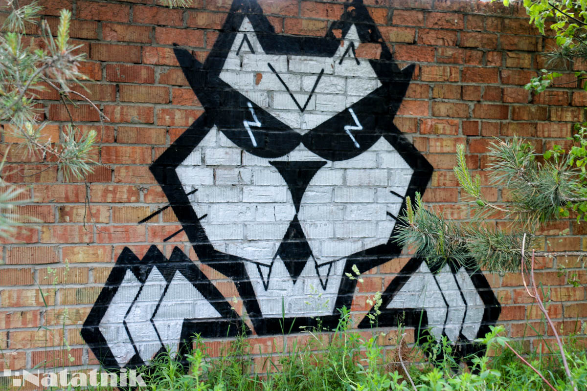 стрит-арт в Бресте, рисунок, стена, кот