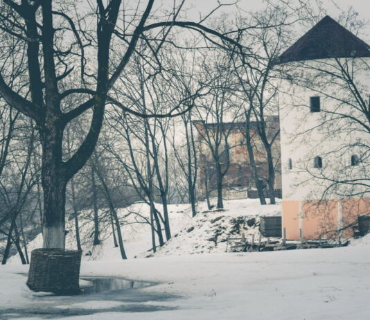 Падарожжа ў Быхаў