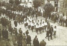 Знявечаныя лёсы жыхароў Берасця