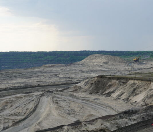 Закрытый сахарный завод, самый толстый дуб Беларуси и гранитный карьер в Микашевичах
