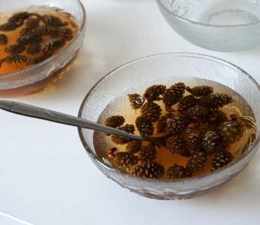 Яблоневый чай и варенье из шишек — в Бресте