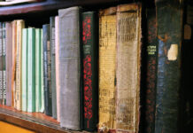 Книжные полки преподавателя истории Средних веков книжные полки, Бодак