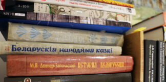 кніжныя паліцы, книжные полки, книги