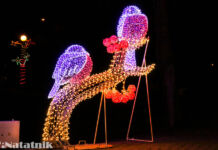 Топ-5 украшений города к Новому году Снегири, украшения, новогодний Брест