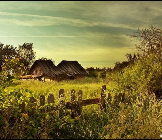 Вясковы тэст ад Natatnik вёска, вясковы тэст