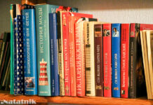 Книжные полки актрисы театра «Напротив» книжные полки, книги, библиотека, Пашечко