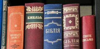 книжные полки, библиотека, Павлючик, Библия, перевод