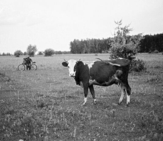Жизнь в четырёх эпохах. «За польских часув» (часть 1) воспоминания, за польских часув