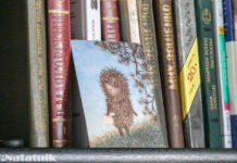 Книжные полки лучшего блогера Рунета книжные полки, книга, Таберко, книжный шкап