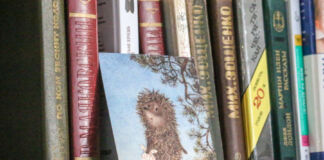 книжные полки, книга, Таберко, книжный шкап