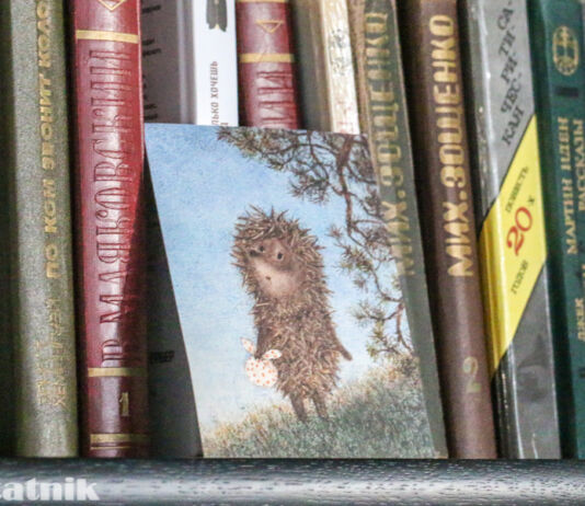 Книжные полки лучшего блогера Рунета книжные полки, книга, Таберко, книжный шкап