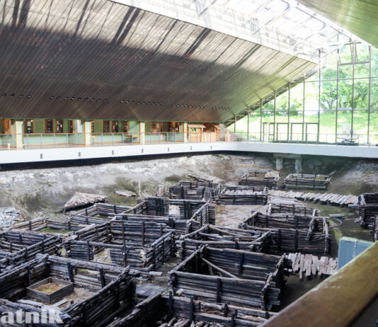 20 поразительных фактов о музее «Берестье» Берестейская маёвка, Берестье, музей, археология