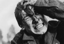 Точка зрения. Кино и война, или Немного о союзниках фильм, "Иди и смотри"