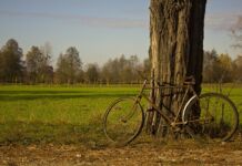 Велотест от Natatnik велосипед, ровер, bike
