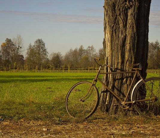 Велотест от Natatnik велосипед, ровер, bike