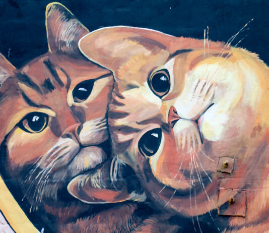 Брестский стрит-арт: художники, которые рисуют на стенах стрит-арт Брест, Брест, Лёня Василькович