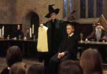 Один вопрос: пригодилось ли вам высшее образование? образование, высшее образование, диплом, гарри поттер, один вопрос