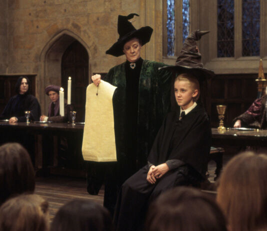 Один вопрос: пригодилось ли вам высшее образование? образование, высшее образование, диплом, гарри поттер, один вопрос