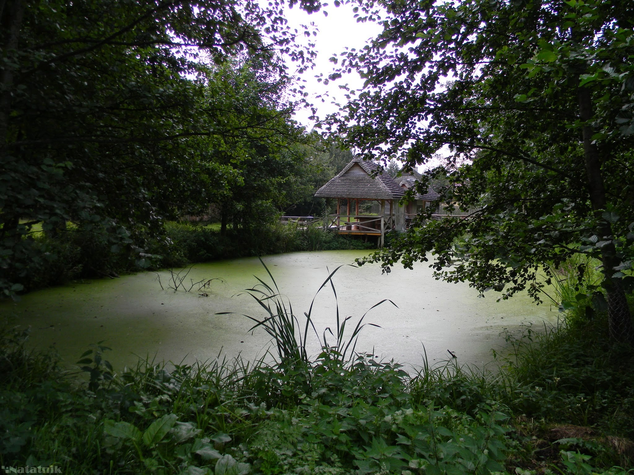 Беловежа, Путешествие, Брест, Беловежская пуща, Скансен