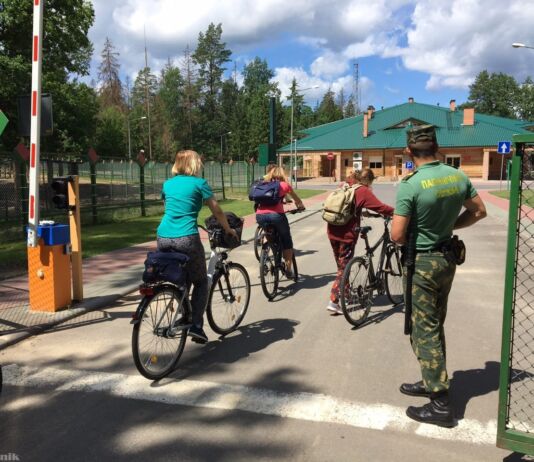 Из Бреста в польскую Беловежу: что посмотреть и сколько стоит Беловежа, Путешествие, Брест, Беловежская пуща, погранпереход "Переров" - "Беловежа"