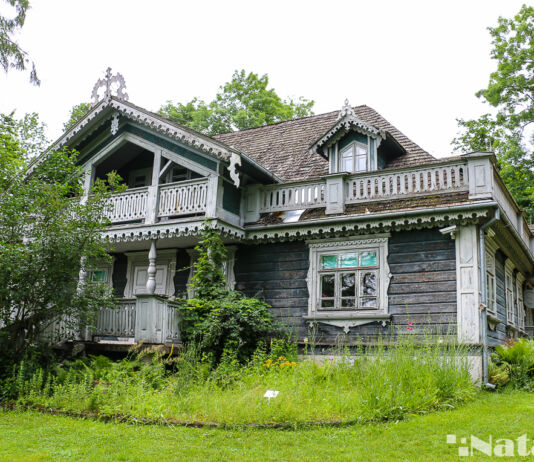 Вековая печаль: 8 домов недалеко от Беловежской пущи на продажу Беловежская пуща, Белавежская пушча, Польша, Белавежа