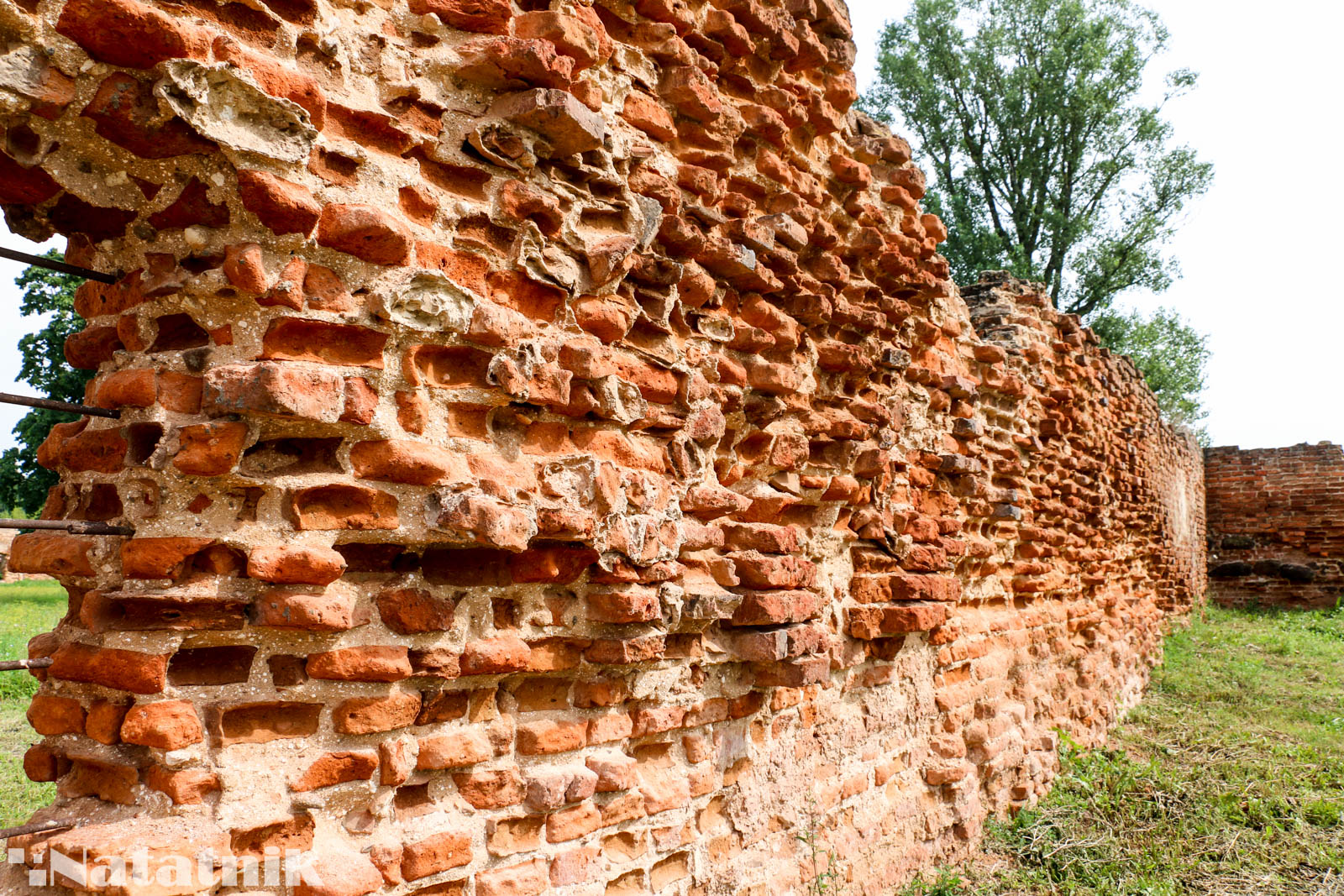 Берёза, монастырь, орден картузов, стена, старый кирпич