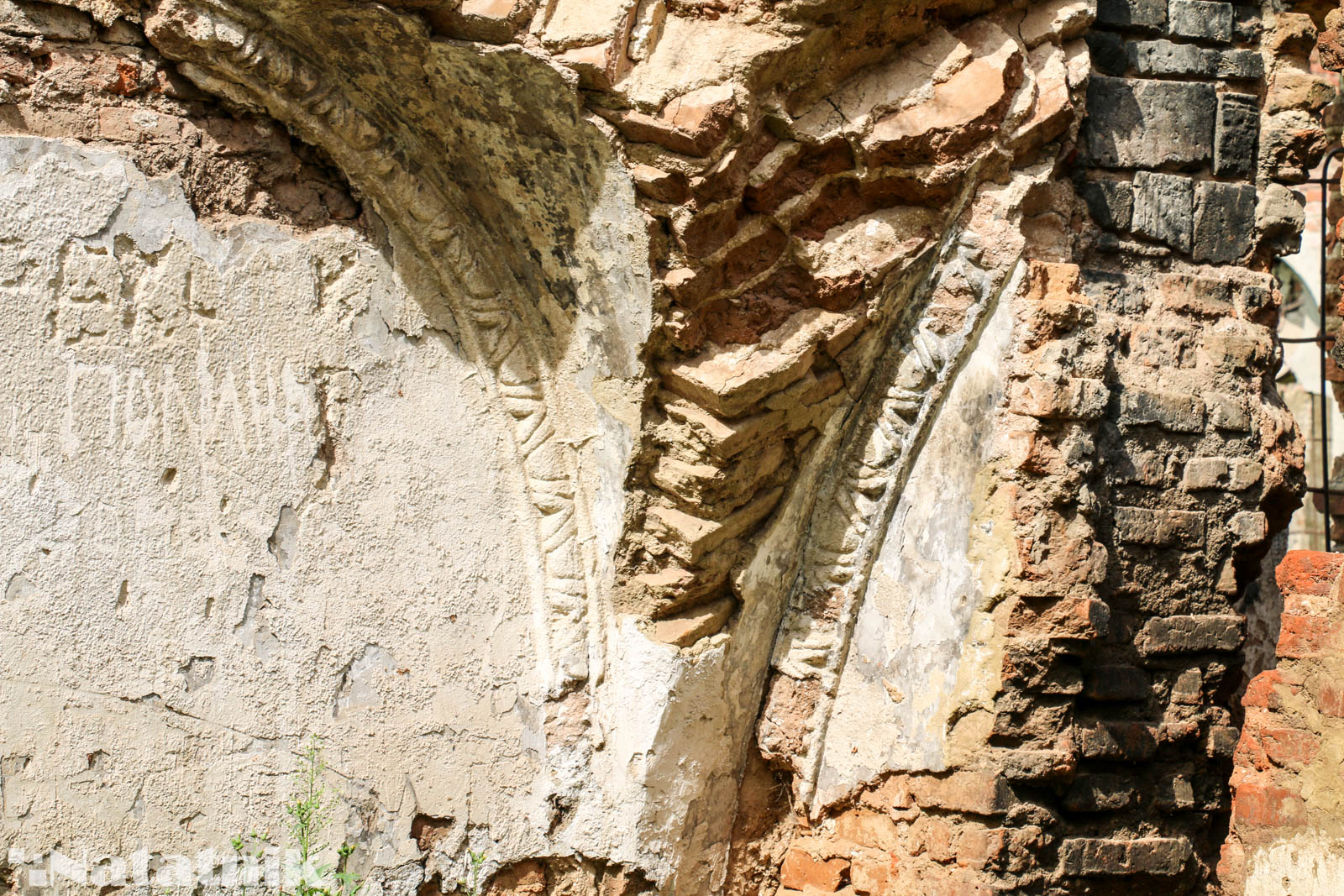 Берёза, монастырь, орден картузов, архитектура, лепнина