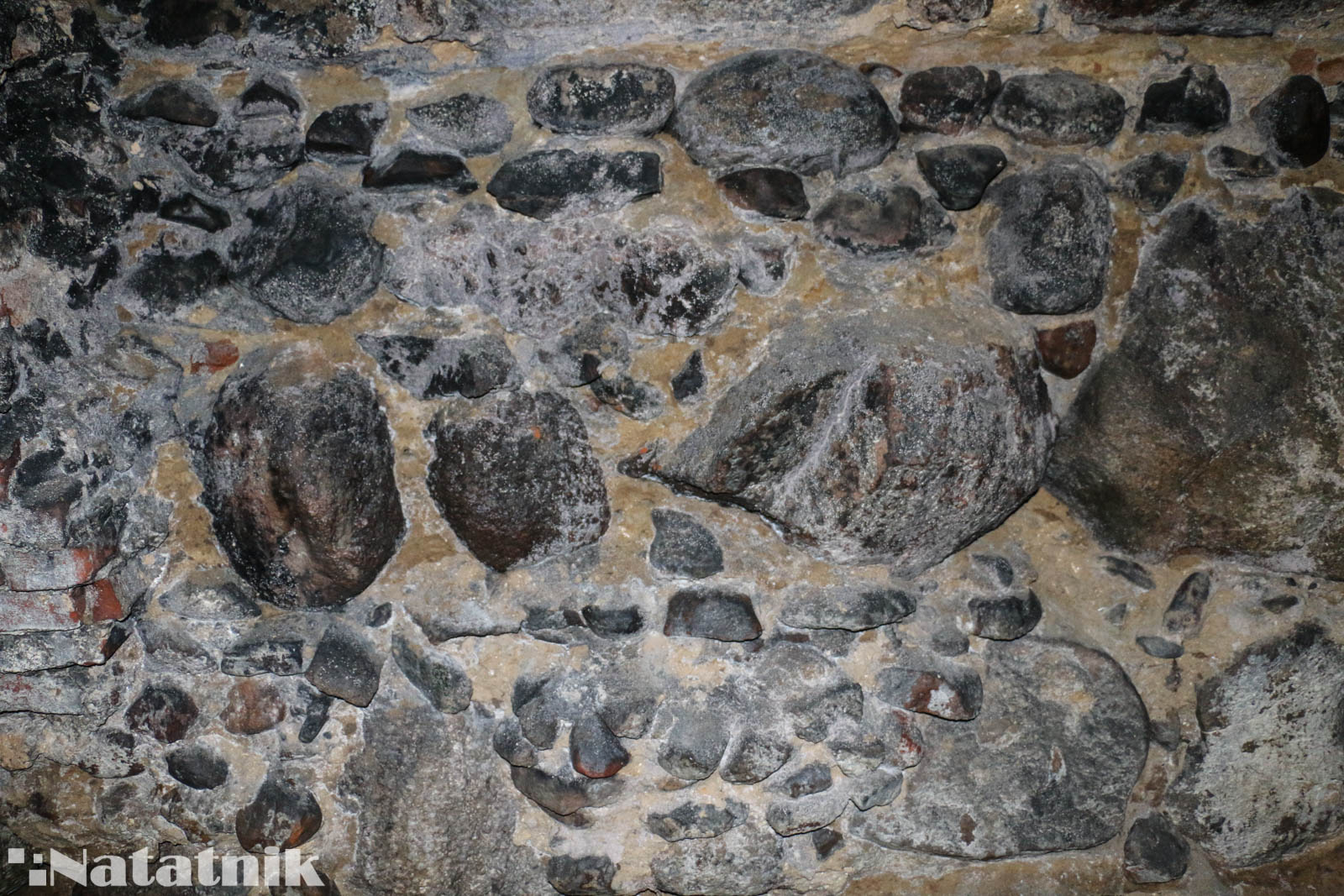 Берёза, монастырь, орден картузов, костёл, подземелье, фундамент