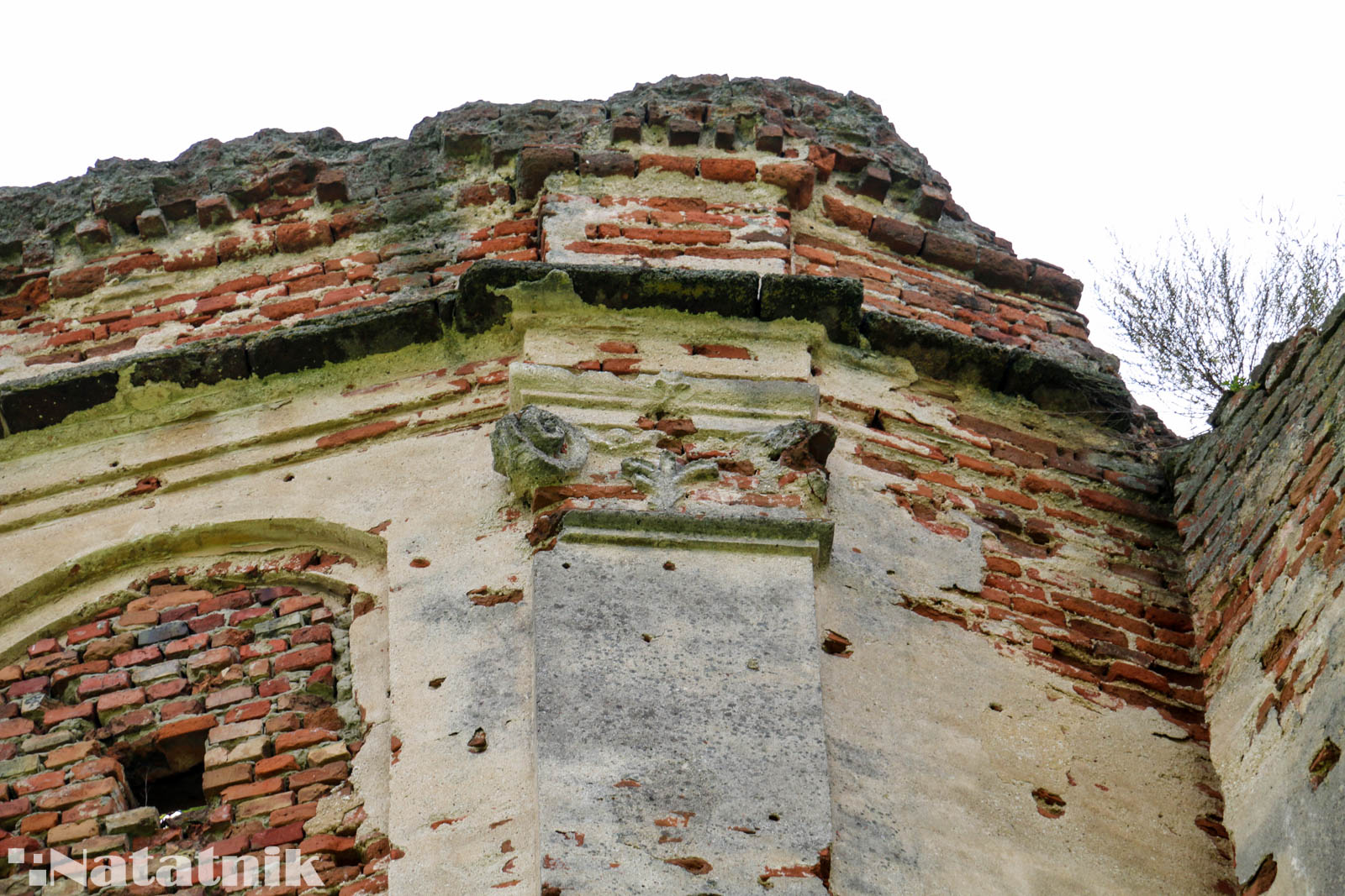 Берёза, монастырь, орден картузов, костёл