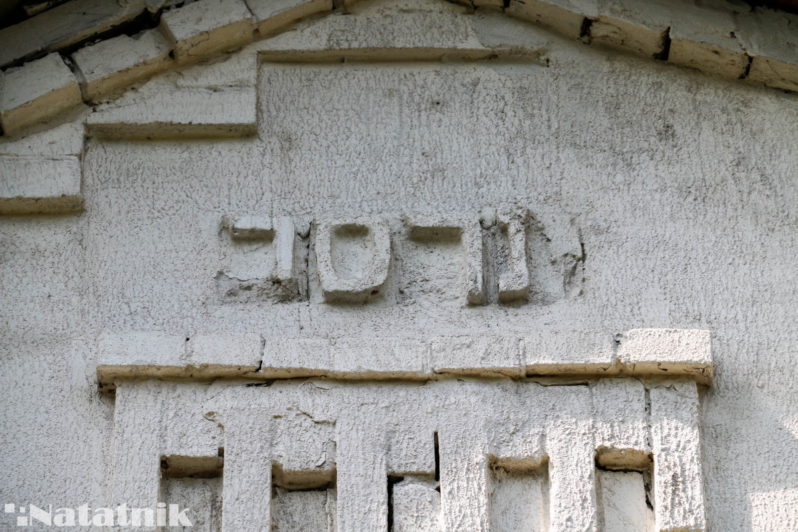 Берёза, евреи