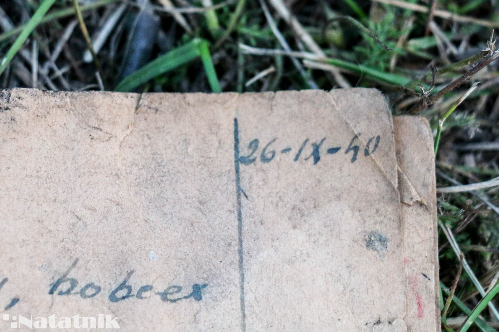 Диктовка, диктант о Сталине