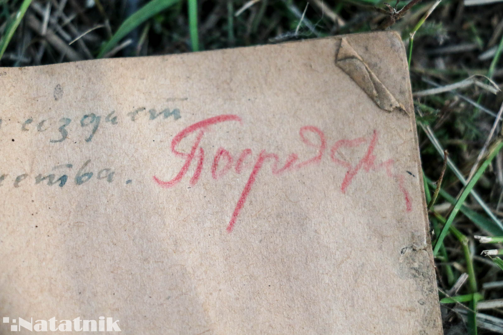 Сталин, оценка, диктант