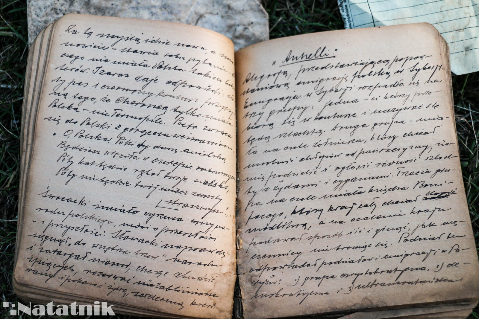 дневник 1920-х