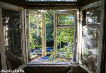 Уникальные находки в польских домах на Леваневского