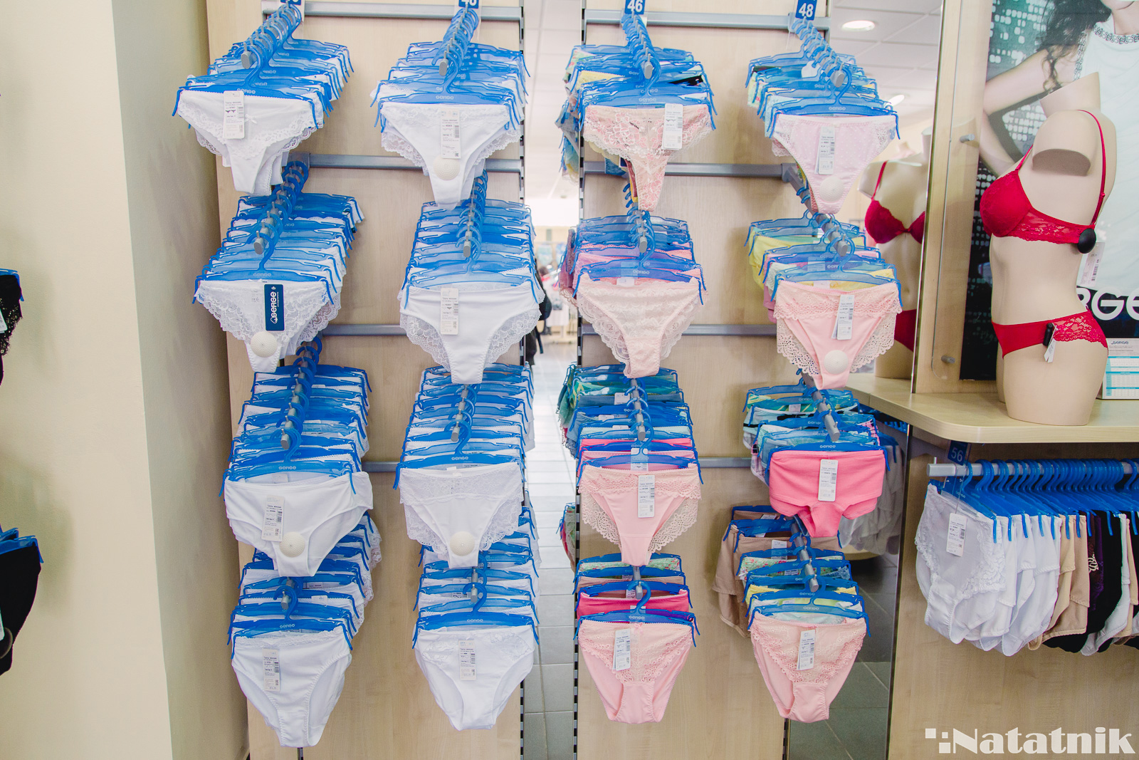 женское белье, трусы, бюстгальтер, Брест