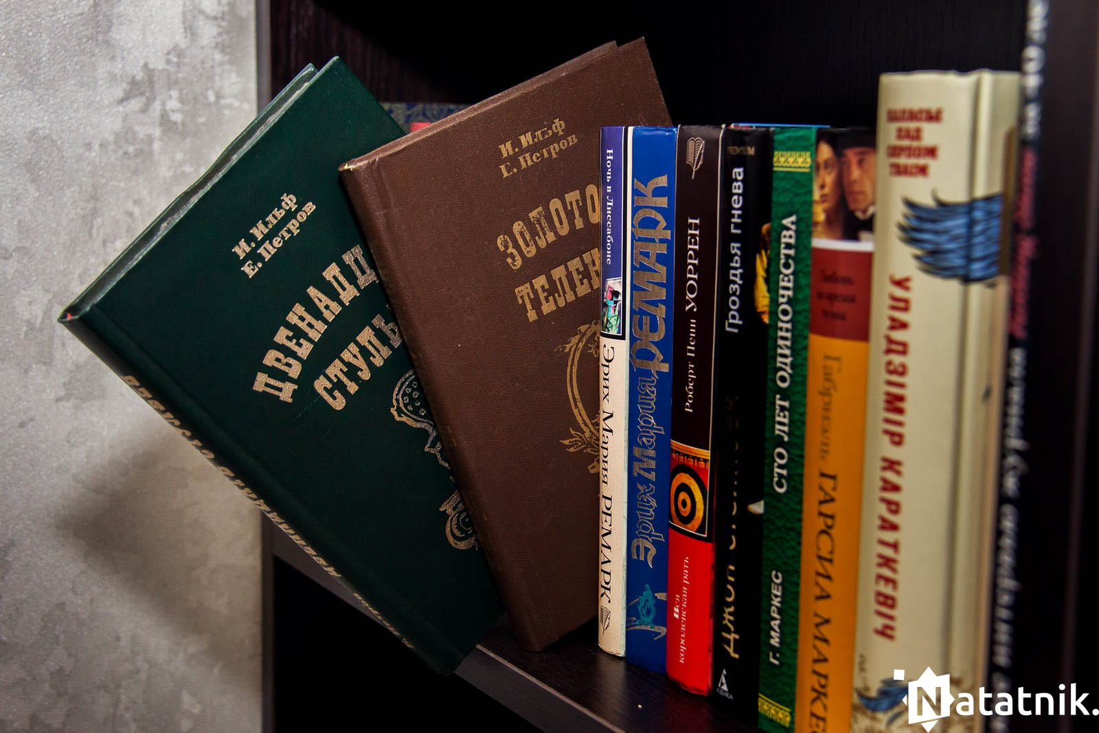 Книги Чайчица