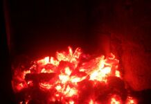 Из семейной истории: «Рождественский гусь» огонь