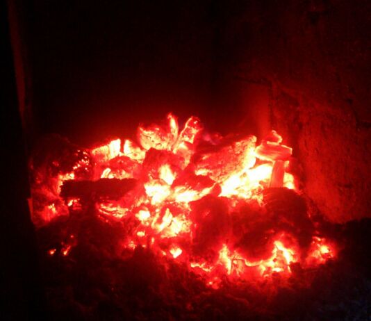 Из семейной истории: «Рождественский гусь» огонь