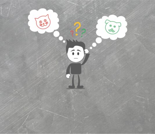 Хочу помочь бездомному коту или собаке. Что делать? (7 карточек) Карточки