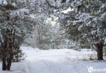 Город-парк – новый бренд для Бреста?