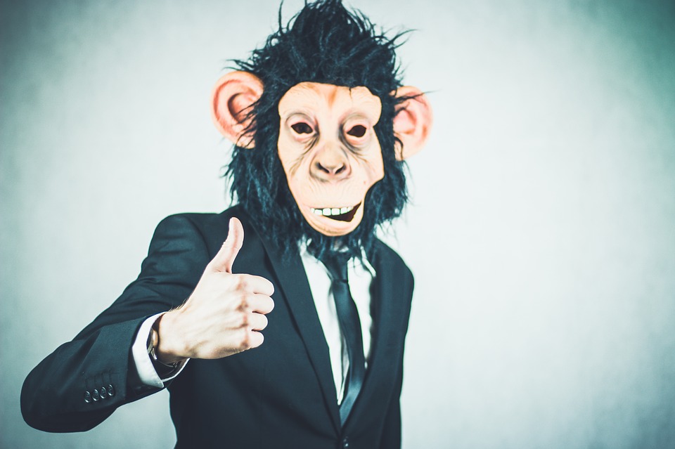 monkey-2710658_960_720