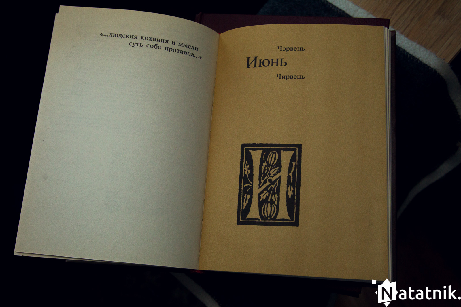 Книжные полки, Тимофей Ильевский