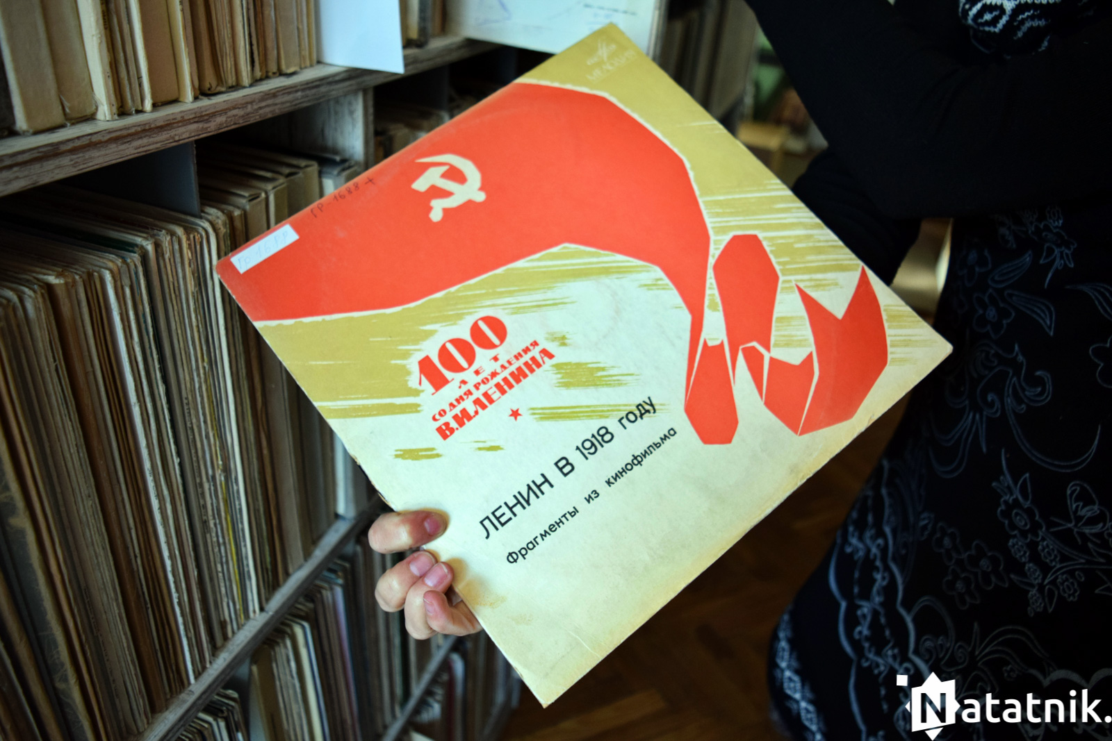 Винилы, Виниловые пластинки