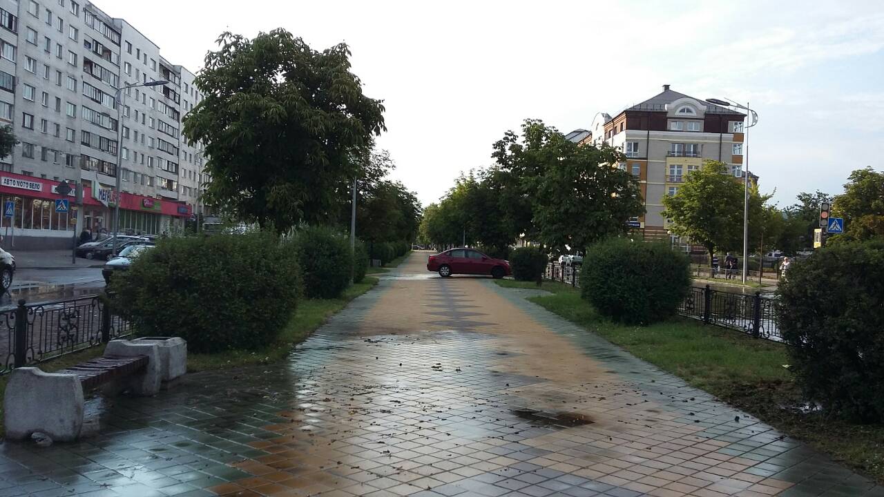 потоп в Бресте