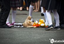 «В этой школе с детьми дружить нельзя». Учительница о распределении в деревню