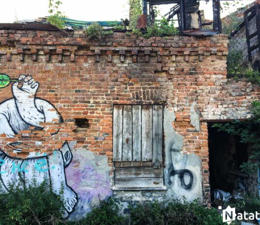 Дамы на Савецкай і іншыя значныя страты архітэктурнай спадчыны ў Беларусі за 2019 год Заброшенный дом на Советской