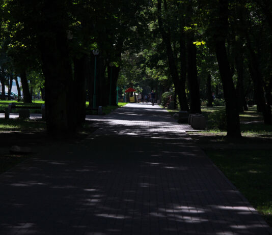 З пазычаным органам. Як жывуць людзі пасля трансплантацыі? Спецпраект Natatnik